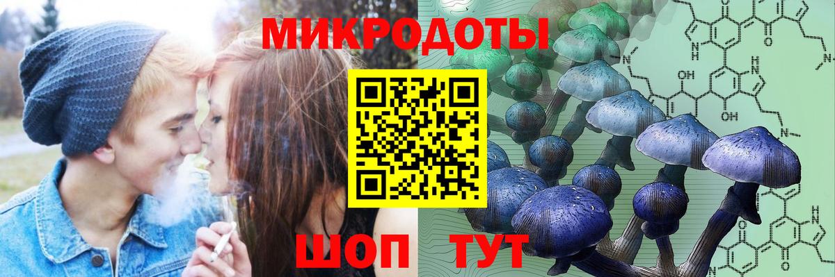 Псилоцибиновые грибы Magic Shrooms Салехард