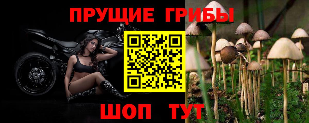 Галлюциногенные грибы прущие грибы  Вход с VPN  Салехард 